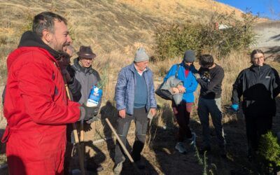 Nuevos árboles en Segovia!!!