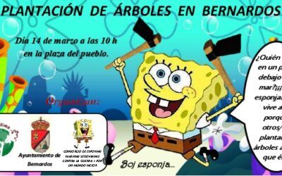 Este finde plantamos en Bernardos!!!