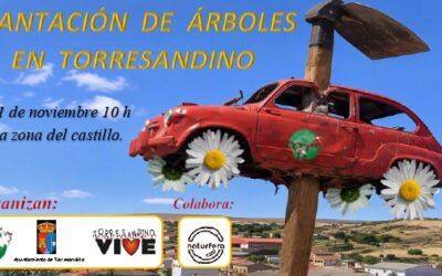 Comienza la temporada de Plantaciones 26/27!!!